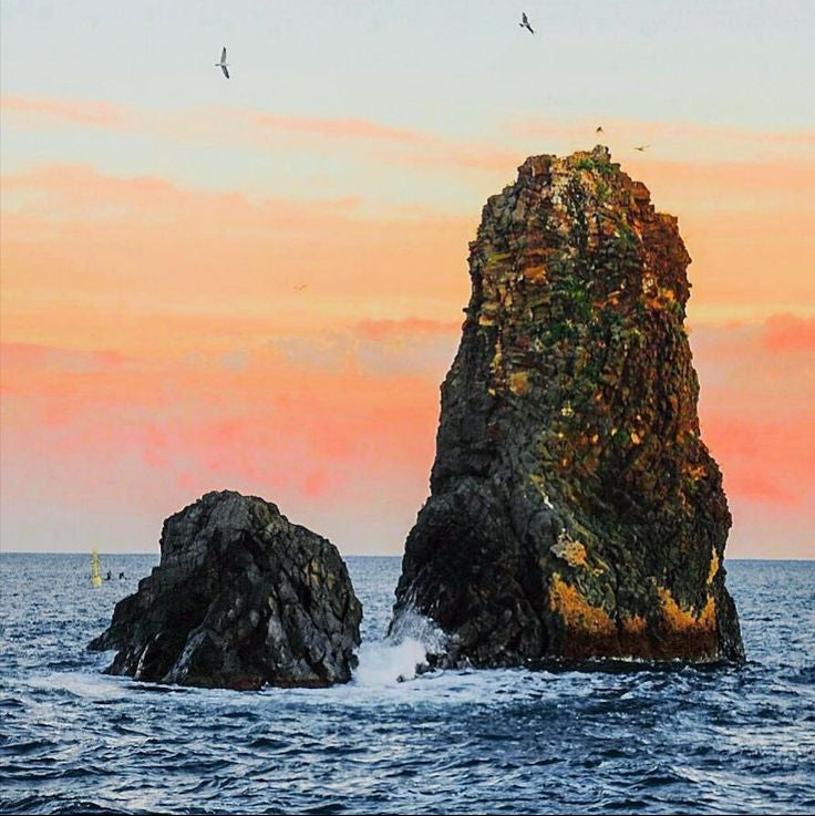 Boat Service - Aci Trezza 3 Hours Tour (1 Hour Itinerary & 2 Hour Dolphin Watching) Private Tour