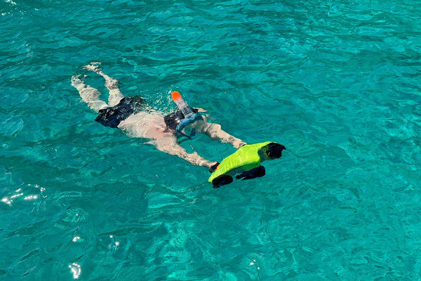 Palermo Luxury Half-Day Boat Tour & Trip (Sharing & Private)